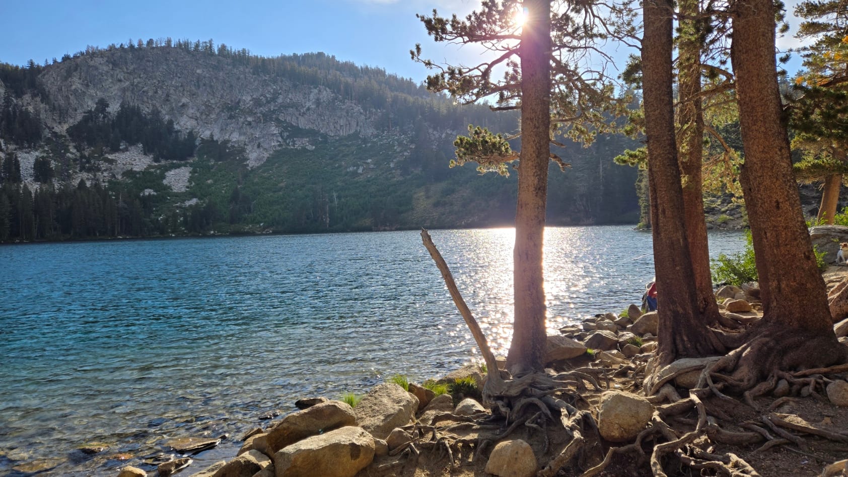 The sun peeking behind a tree over a clear, glistening lake. Mountains in the background.
