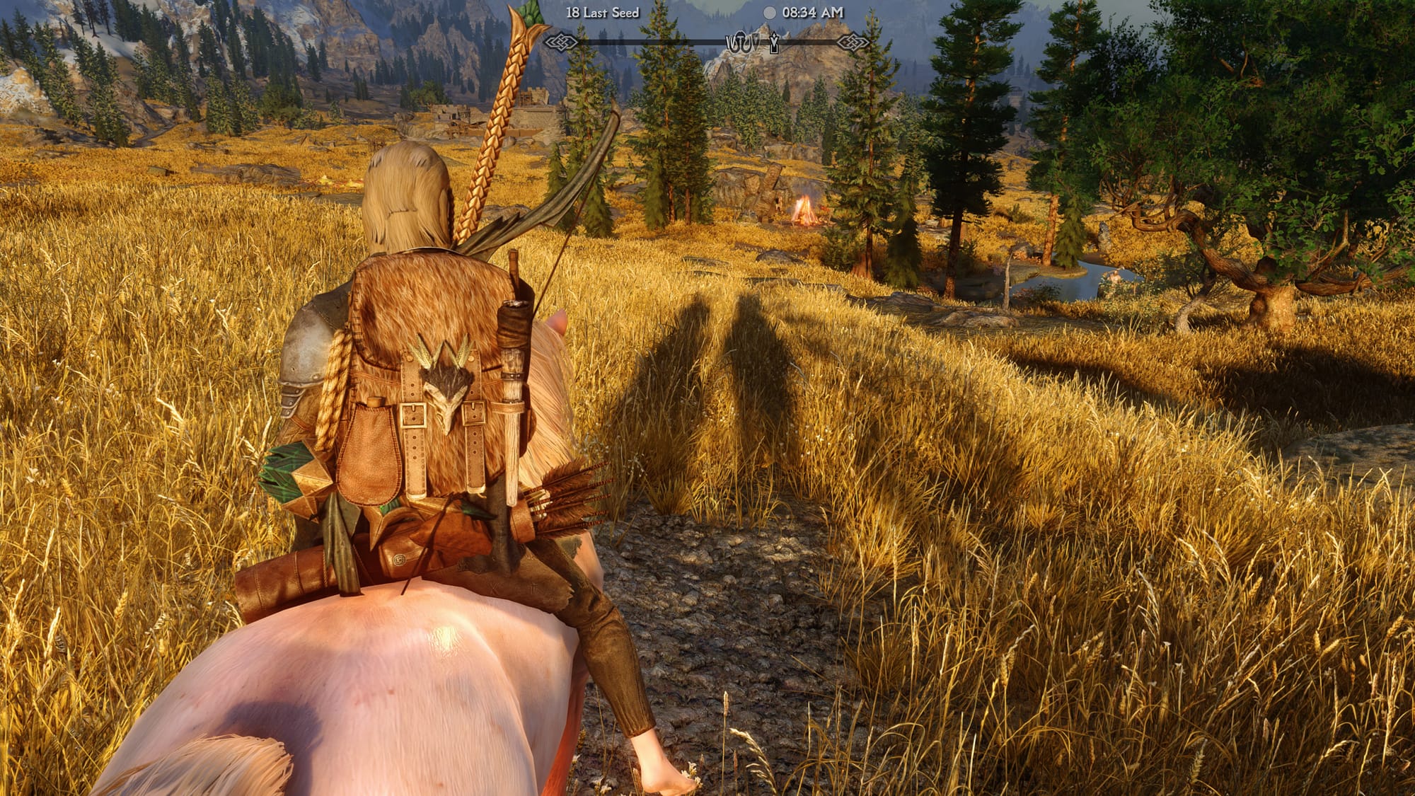 Adventurer on a pink horse, long shadows ahead, golden fields